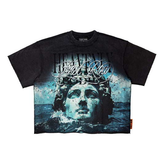 FR Cropped Mini Terry Tee